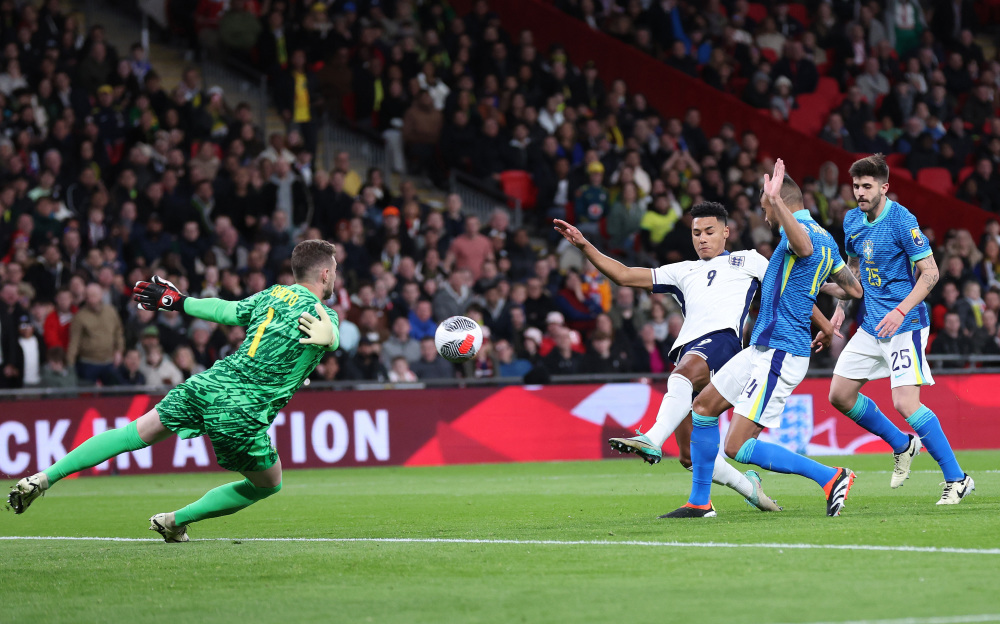 他所展示的 他所展示的