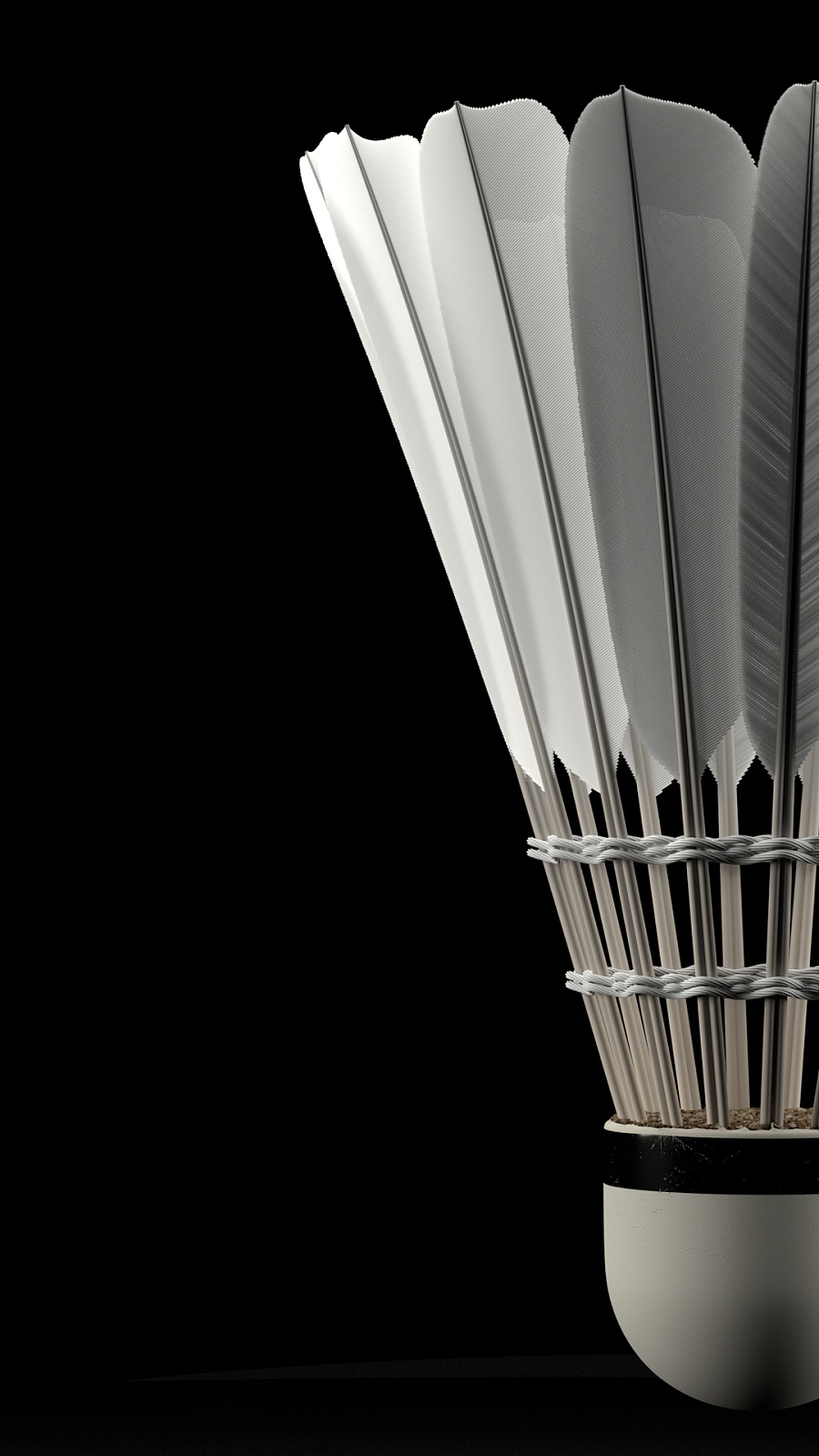 的稳定性 的稳定性